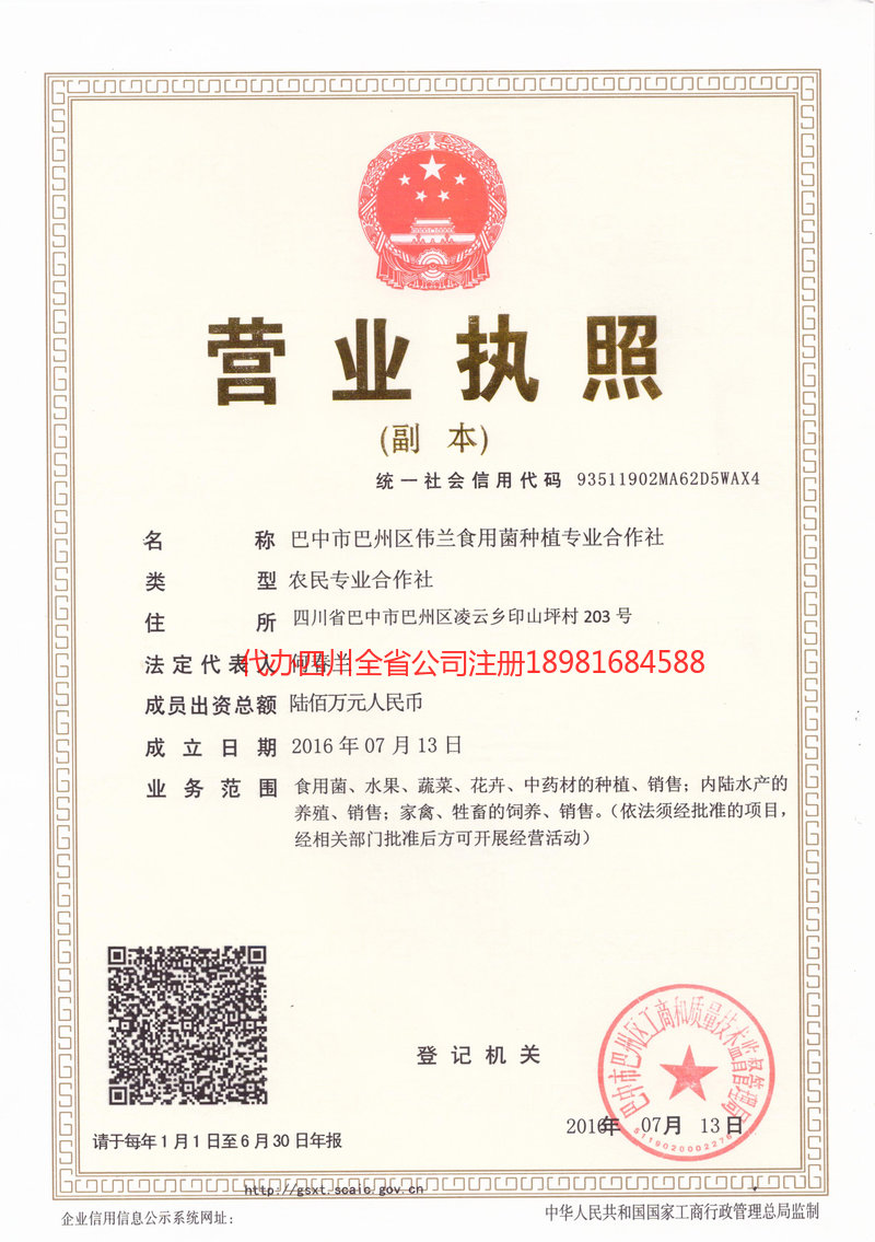 丹棱丹棱伟兰食用菌种植专业合作社